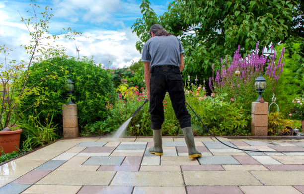 Best Fence Cleaning  in Bountiful, UT